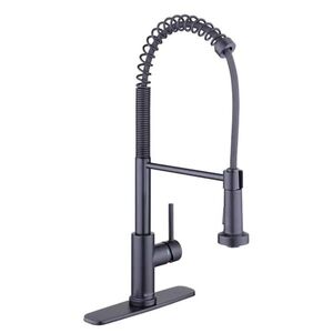 Glacier Bay Paulina Kitchen Faucet Black